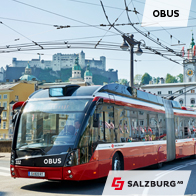 http://www.salzburg-ag.at/verkehr/stadtbus